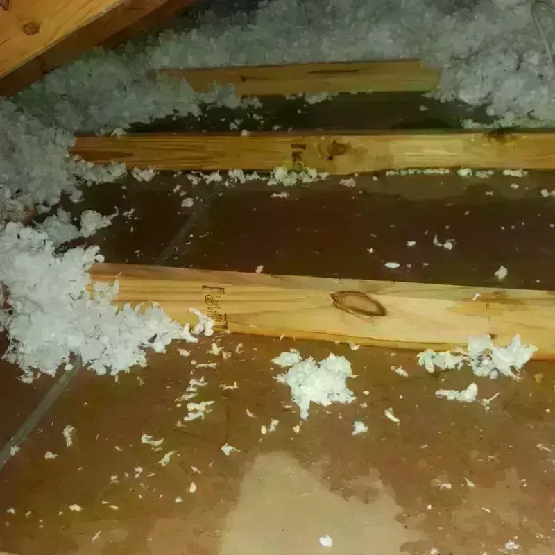 Attic Water Damage in Smith County, TN